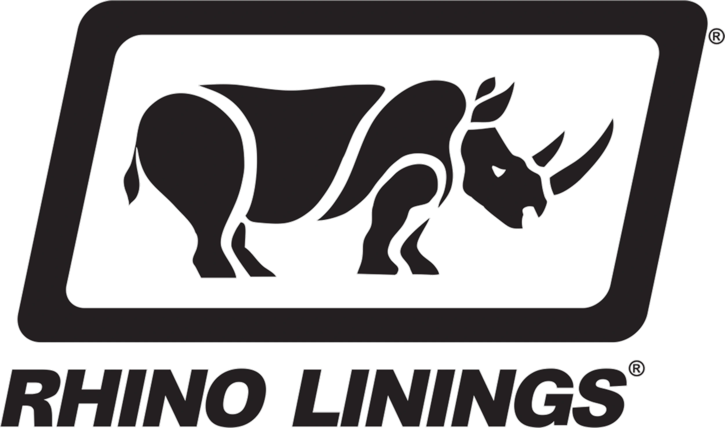 Rhino image