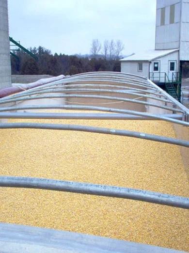 BagBulk Option007 image