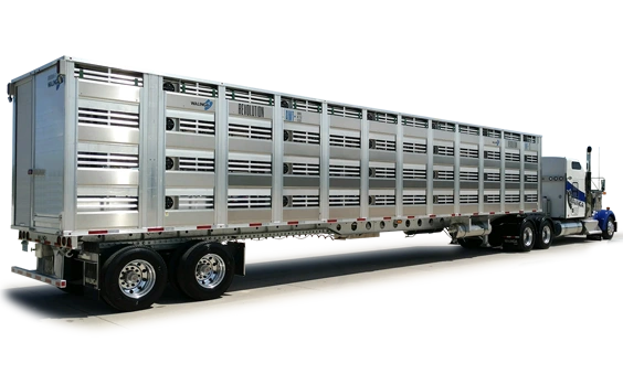 Livestock Transport