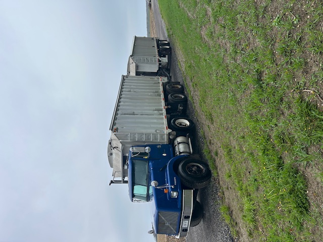 Walinga image