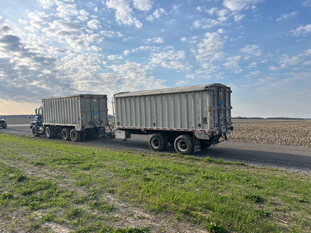 Walinga image