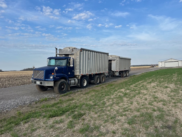 Walinga image