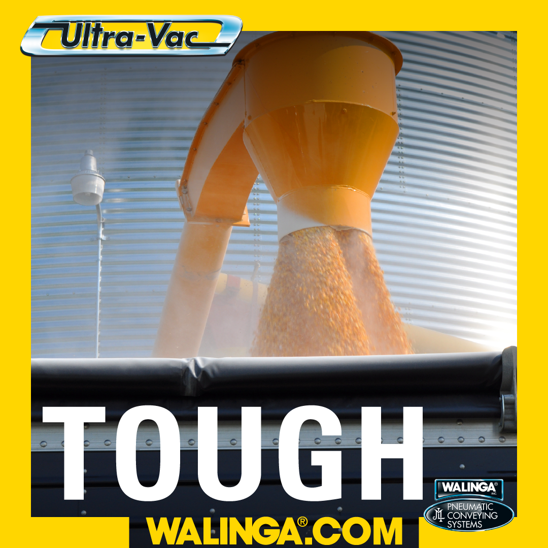 SM AD CUBE 1080x1080_TOUGH YELLOW CYCLONE